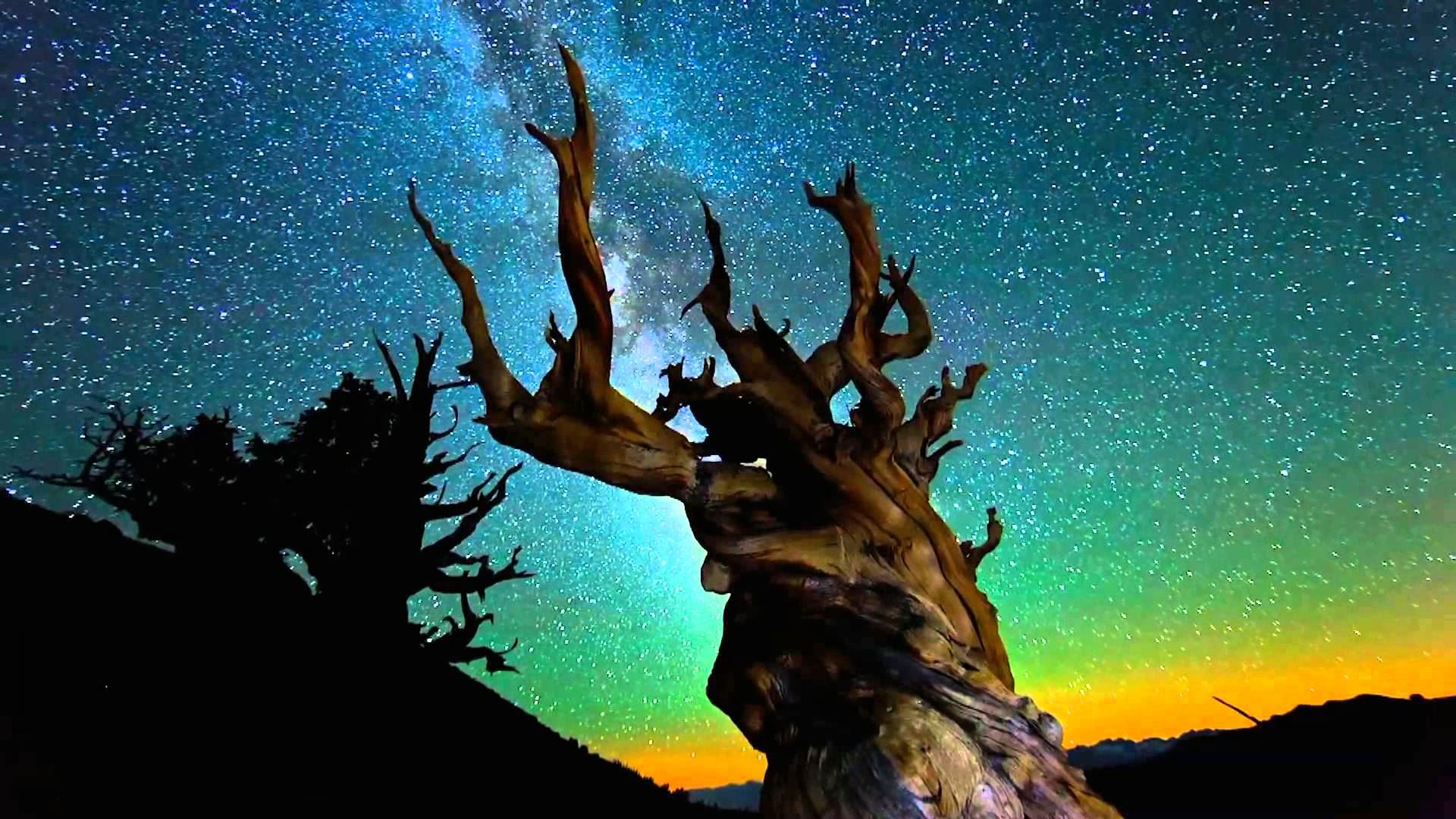 Visions Visions of Nature: Timescapes [Blu-ray] of Nature