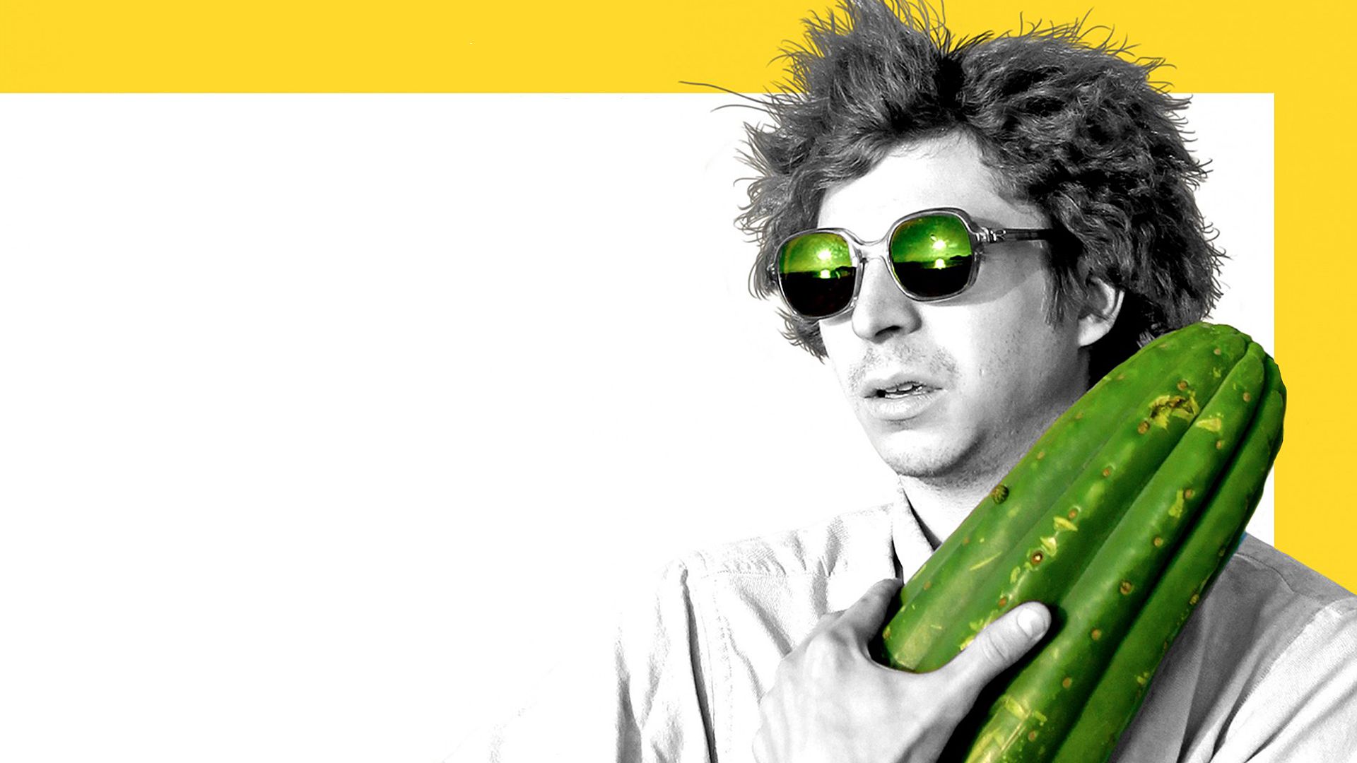 cactus xxl The Scratching Cactus XXL main image 1