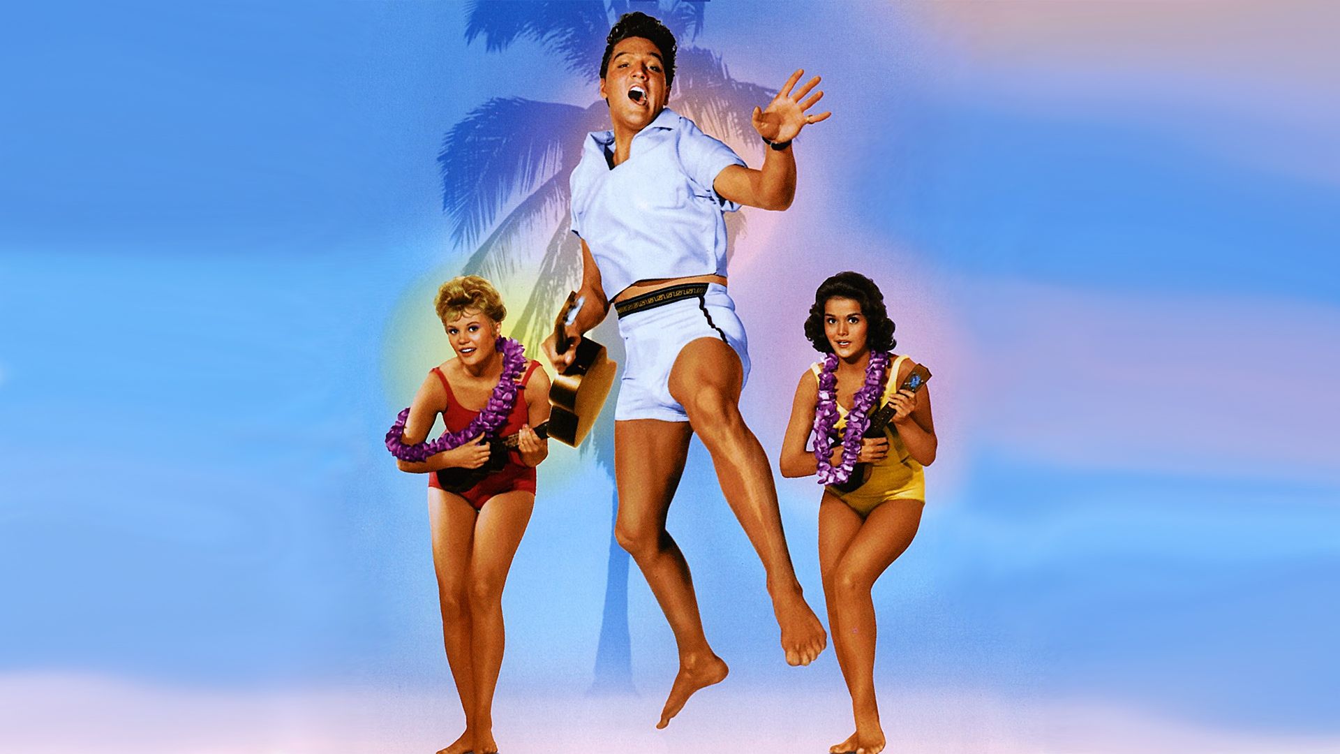 SUI Blu-ray in HAWAII 前編 後編 SUI Blu-ray in HAWAII（前編・後編） - slf online-shop