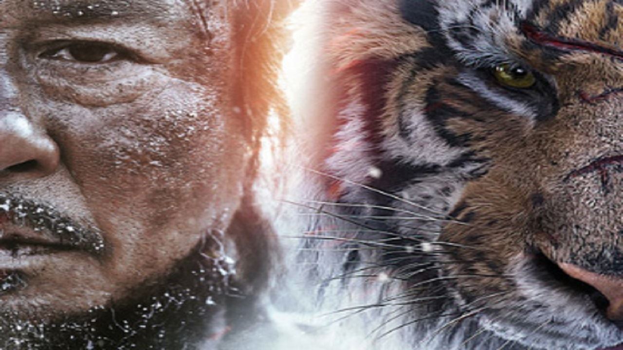 THE TIGERS 2013 Live Book with printed signature many photos Rare