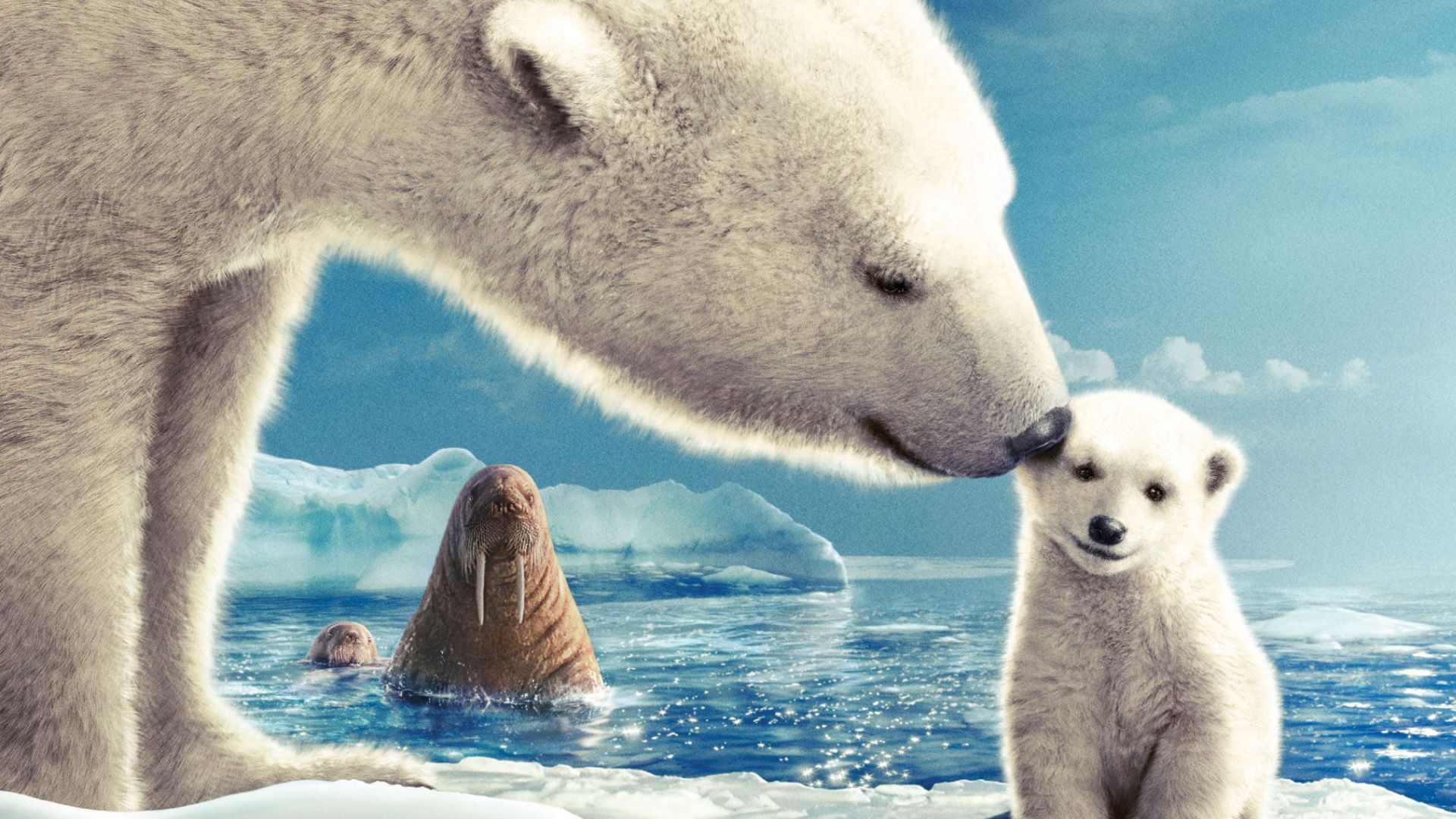 Arctic Tale - DVD - 883929314577 - Canada - My Movies - The Movie
