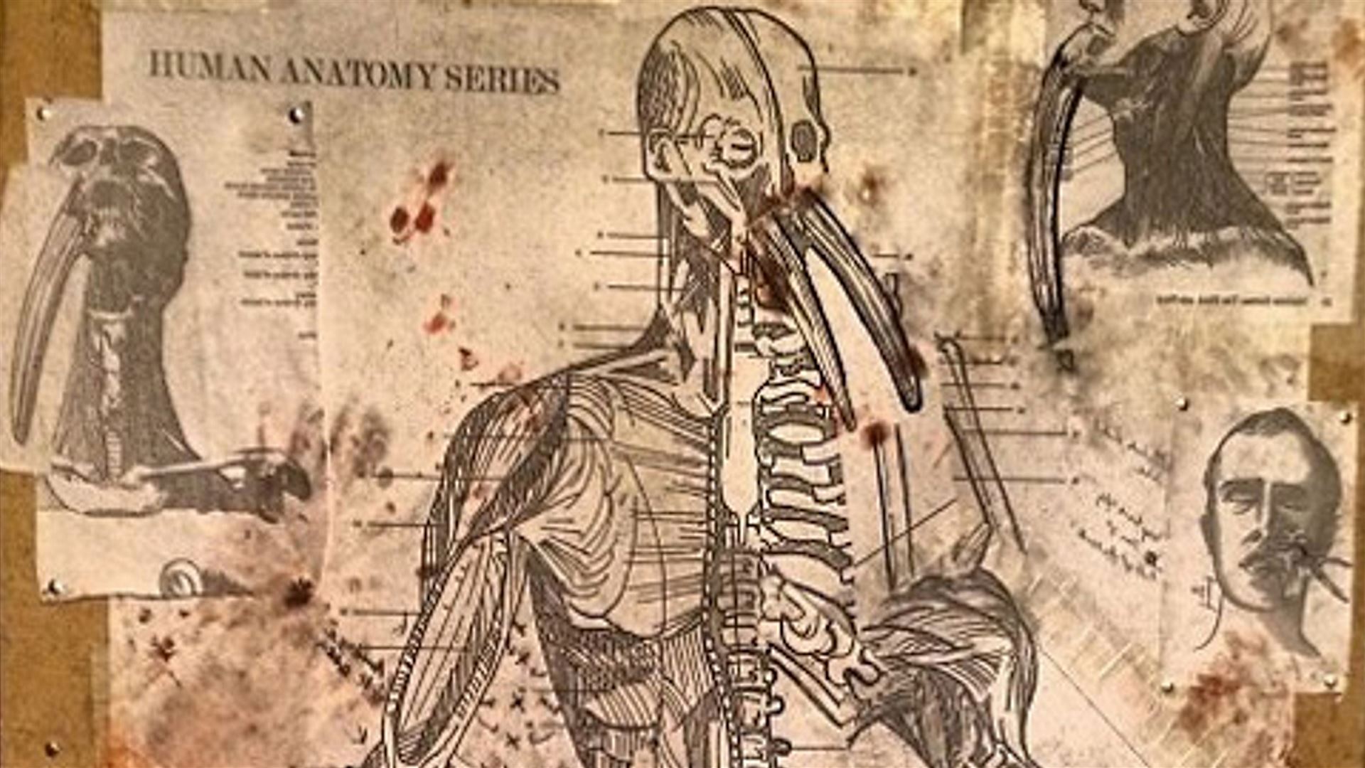 Tusk - Blu-ray - 043396453838 - Canada - 1/20/2015 - My Movies - The Movie  & TV Network