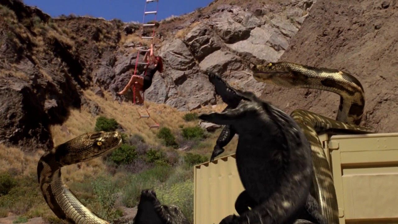 Mega Python Vs. Gatoroid - (2011) - My Movies - The Movie & TV Network ...